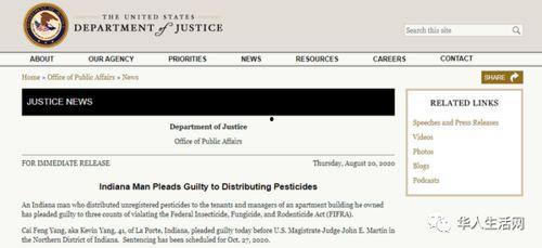 国产华人在线,探索中国互联网文化新篇章